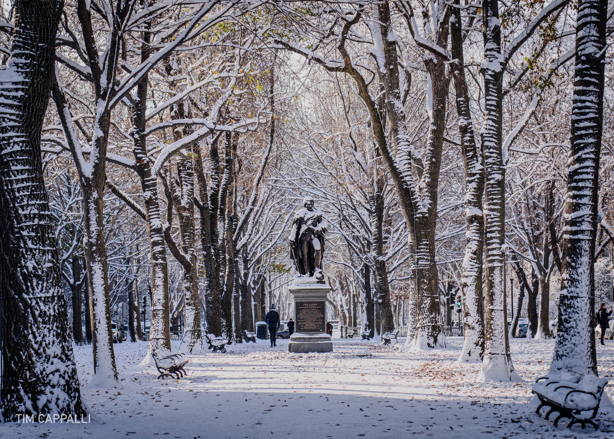 First Boston Snow - Winter 2024