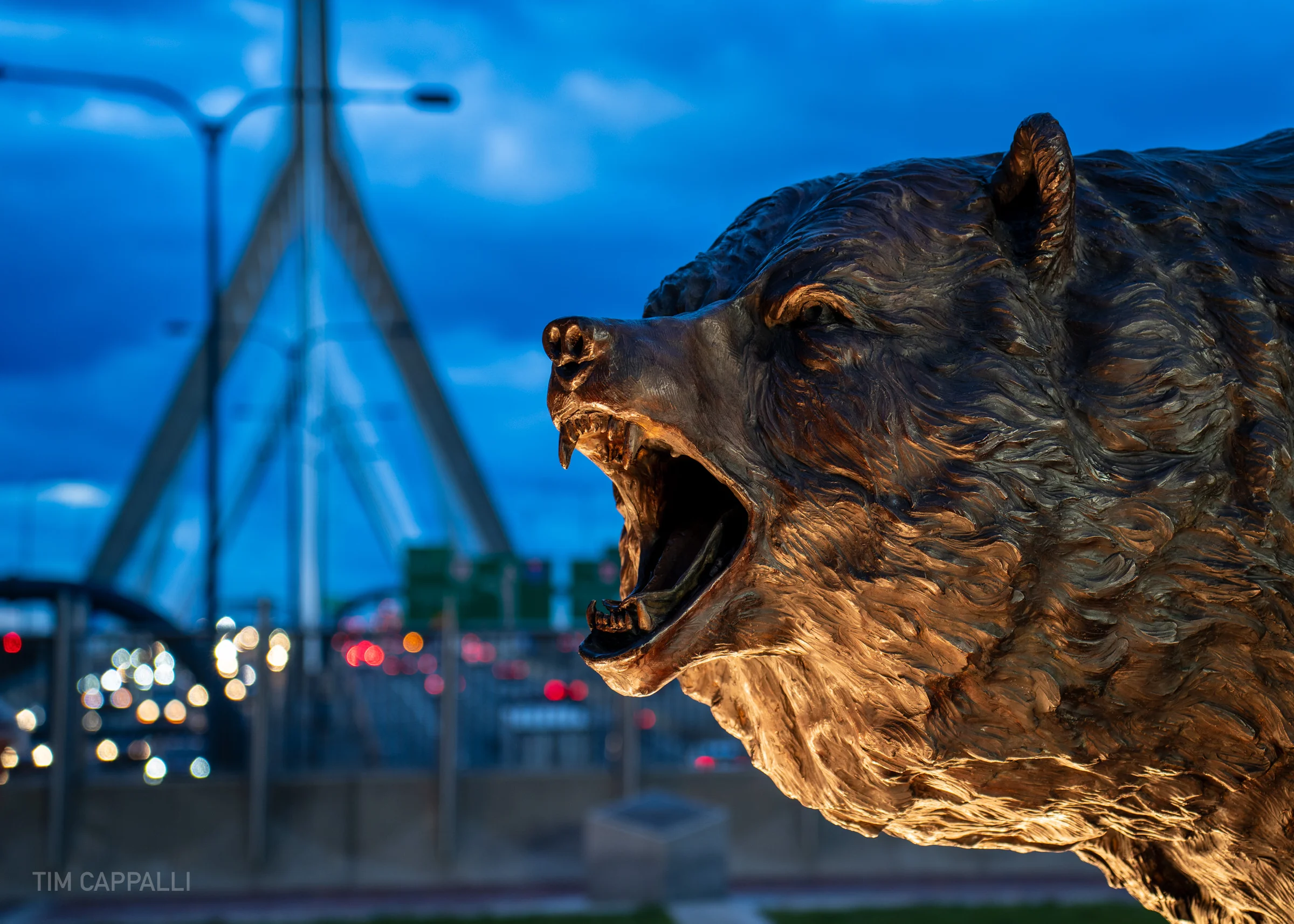 Bruins Centennial Legacy Monument Unveiling Ceremony