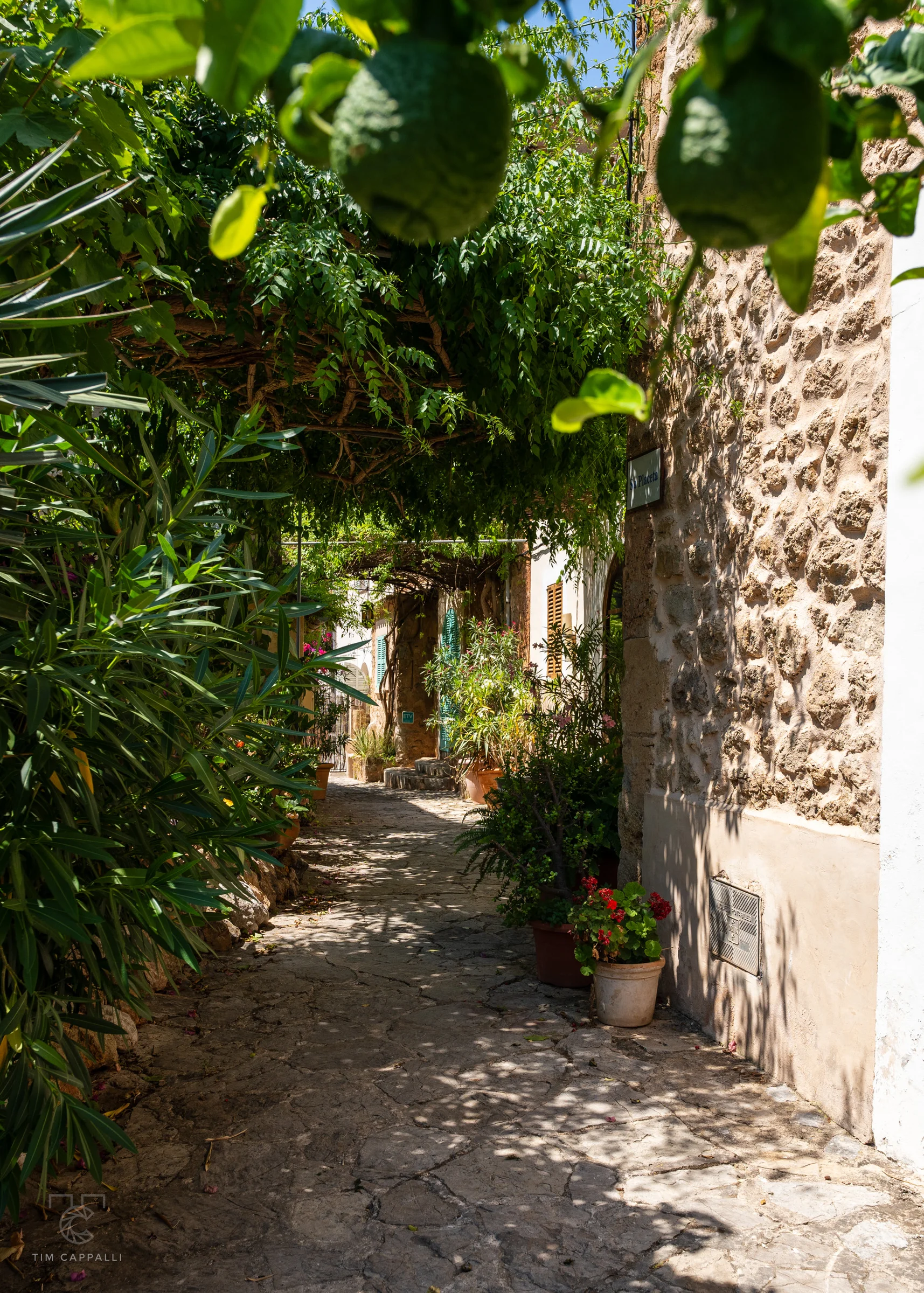 Deià 🇪🇸