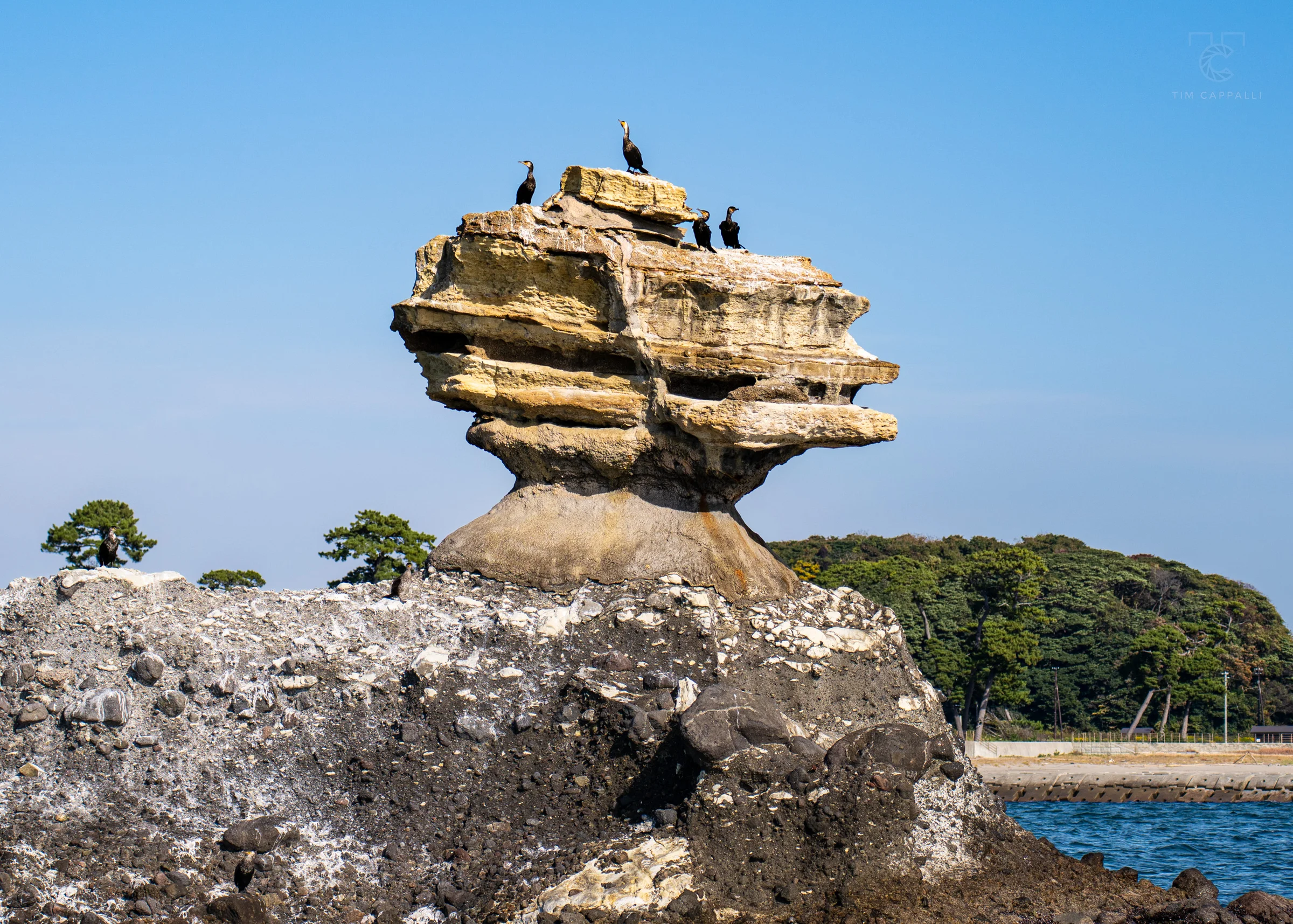 Nioh-jima Island 仁王島 🇯🇵