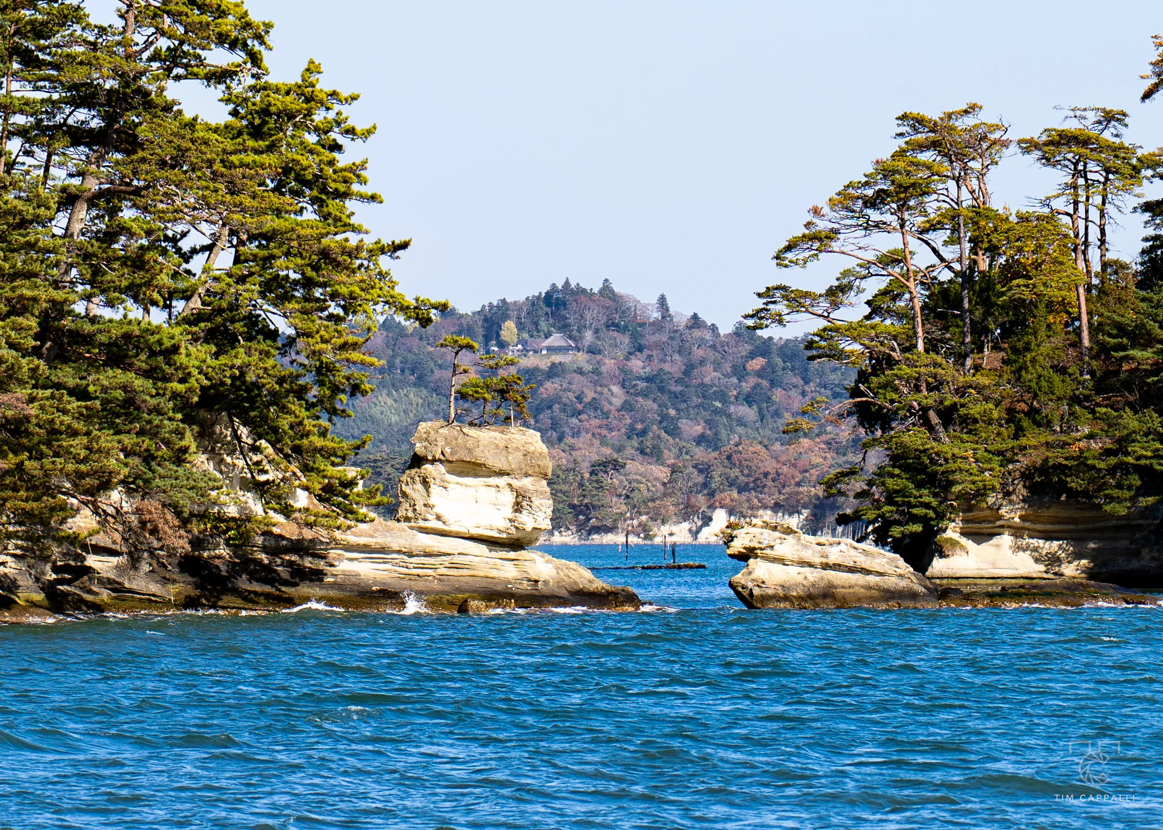 The Islands of Matsushima Bay 🇯🇵