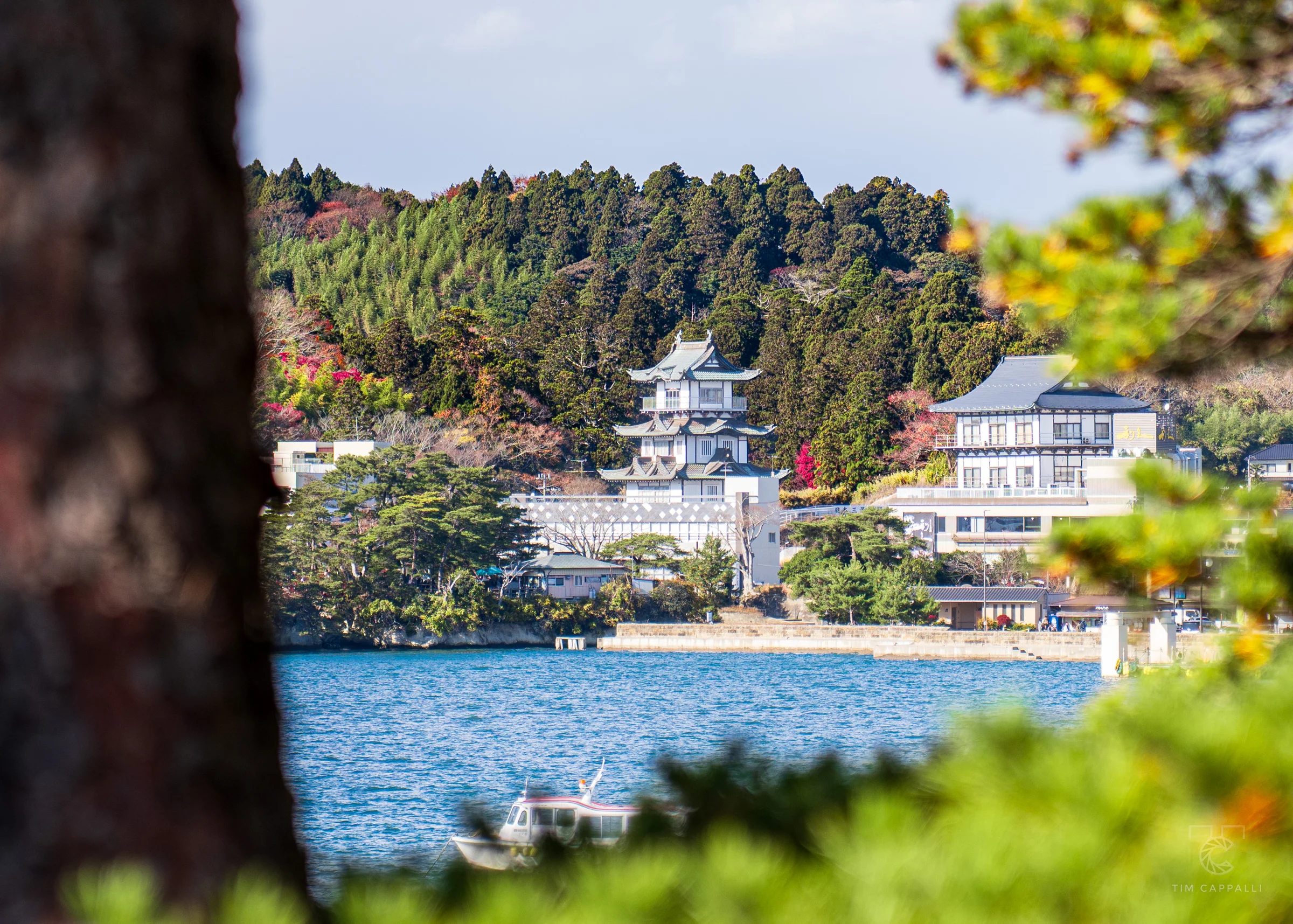 Matsushima 松島町 🇯🇵