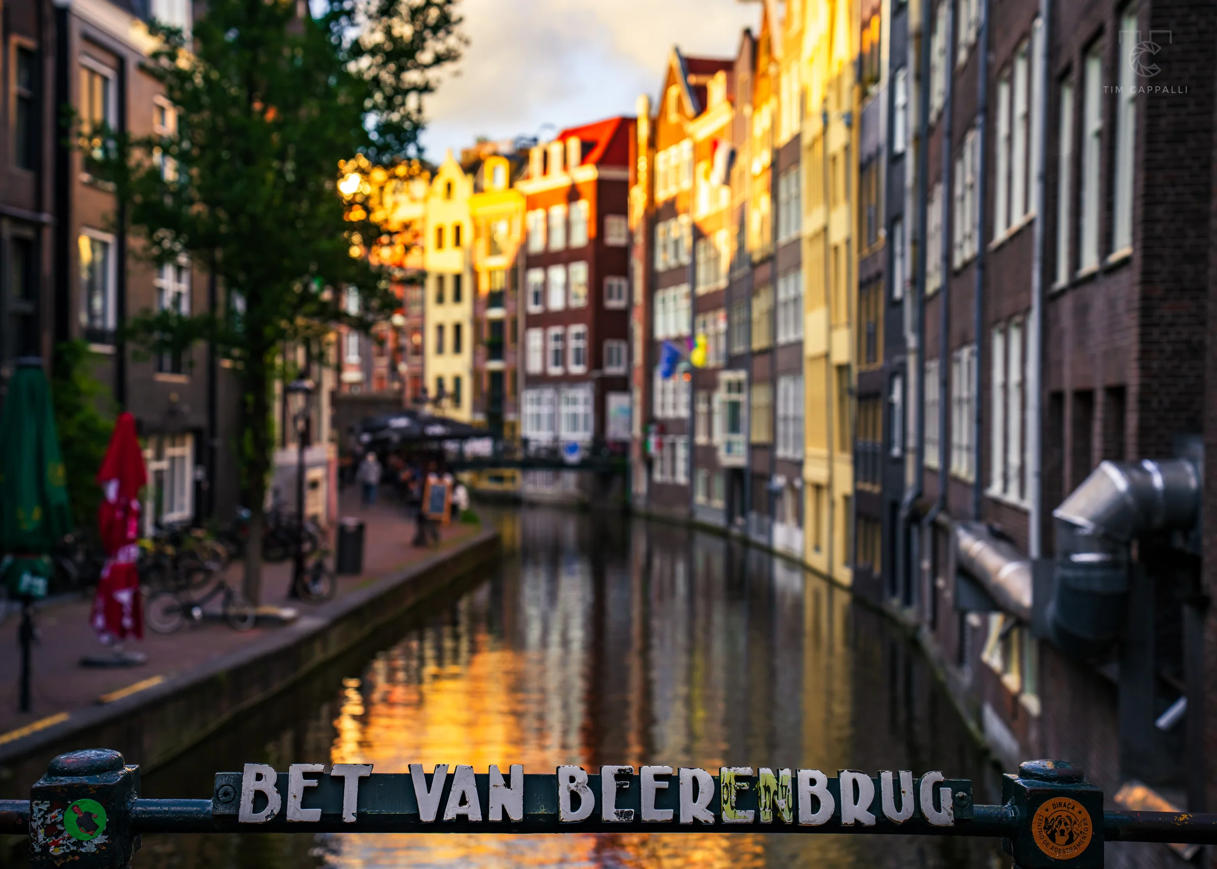 Bet van Beerenbrug 🇳🇱