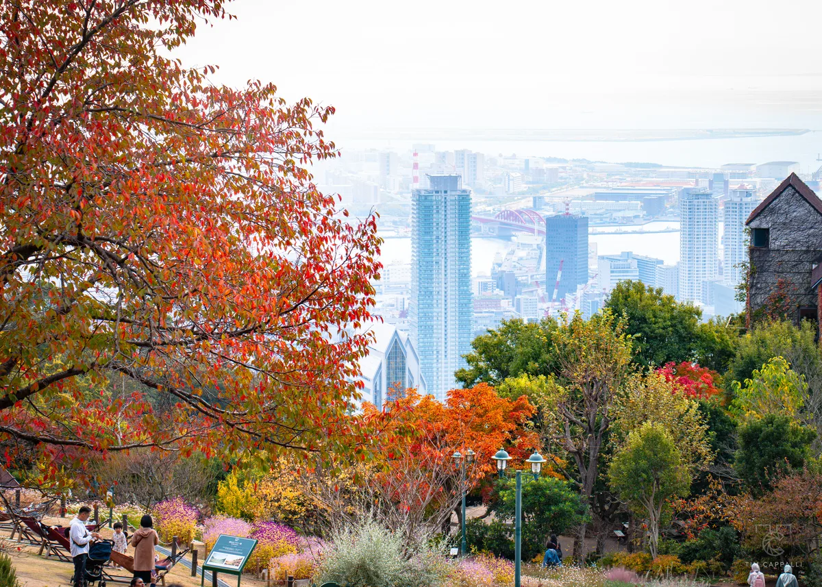 Kobe Nunobiki Herb Gardens & Ropeway 神戸布引ハーブ園／ロープウェイ 🇯🇵