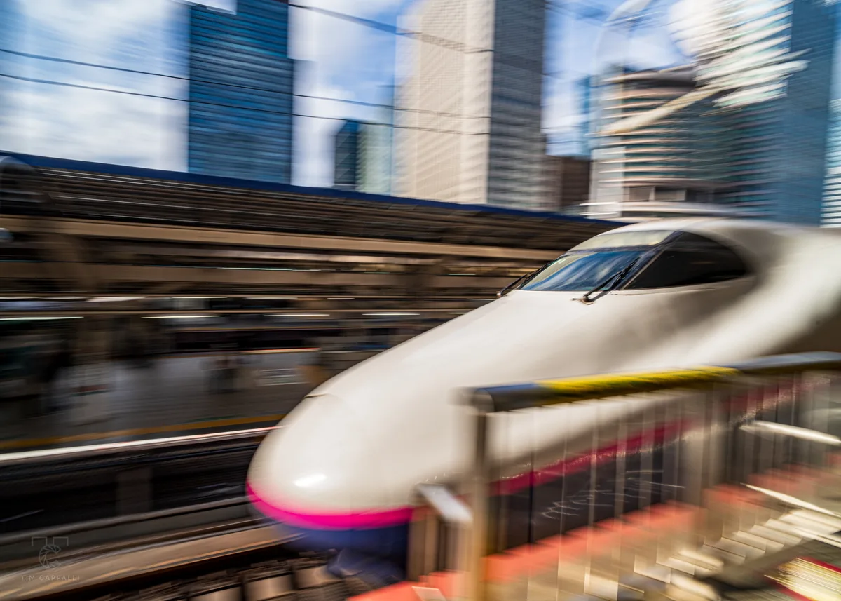 E2 Series Shinkansen @ Tokyo Station 東京駅 🇯🇵