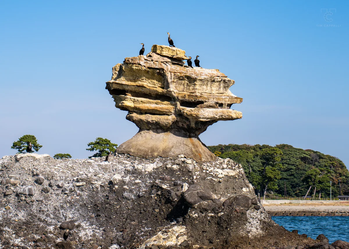 Nioh-jima Island 仁王島 🇯🇵