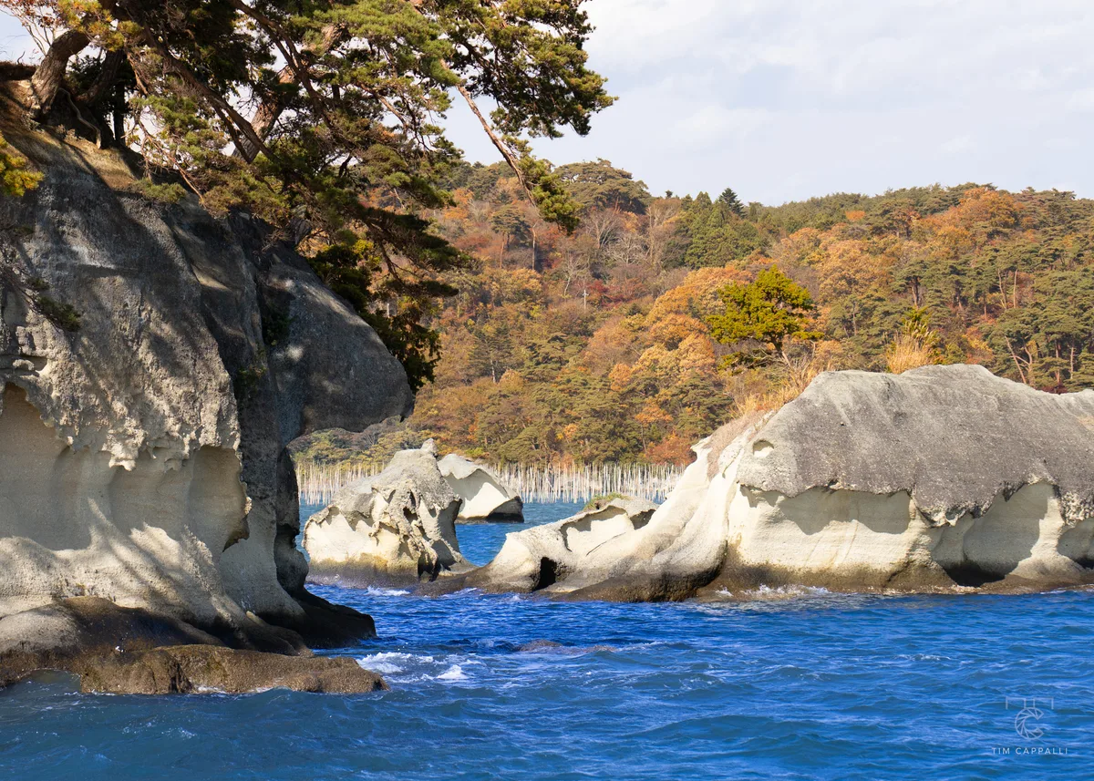 Zaijo Island 在城島 🇯🇵