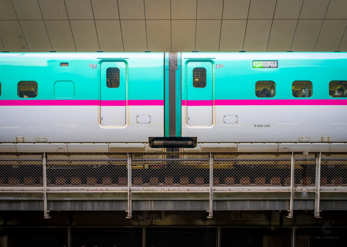 E5 series Shinkansen at Tokyo Station 東京駅 🇯🇵