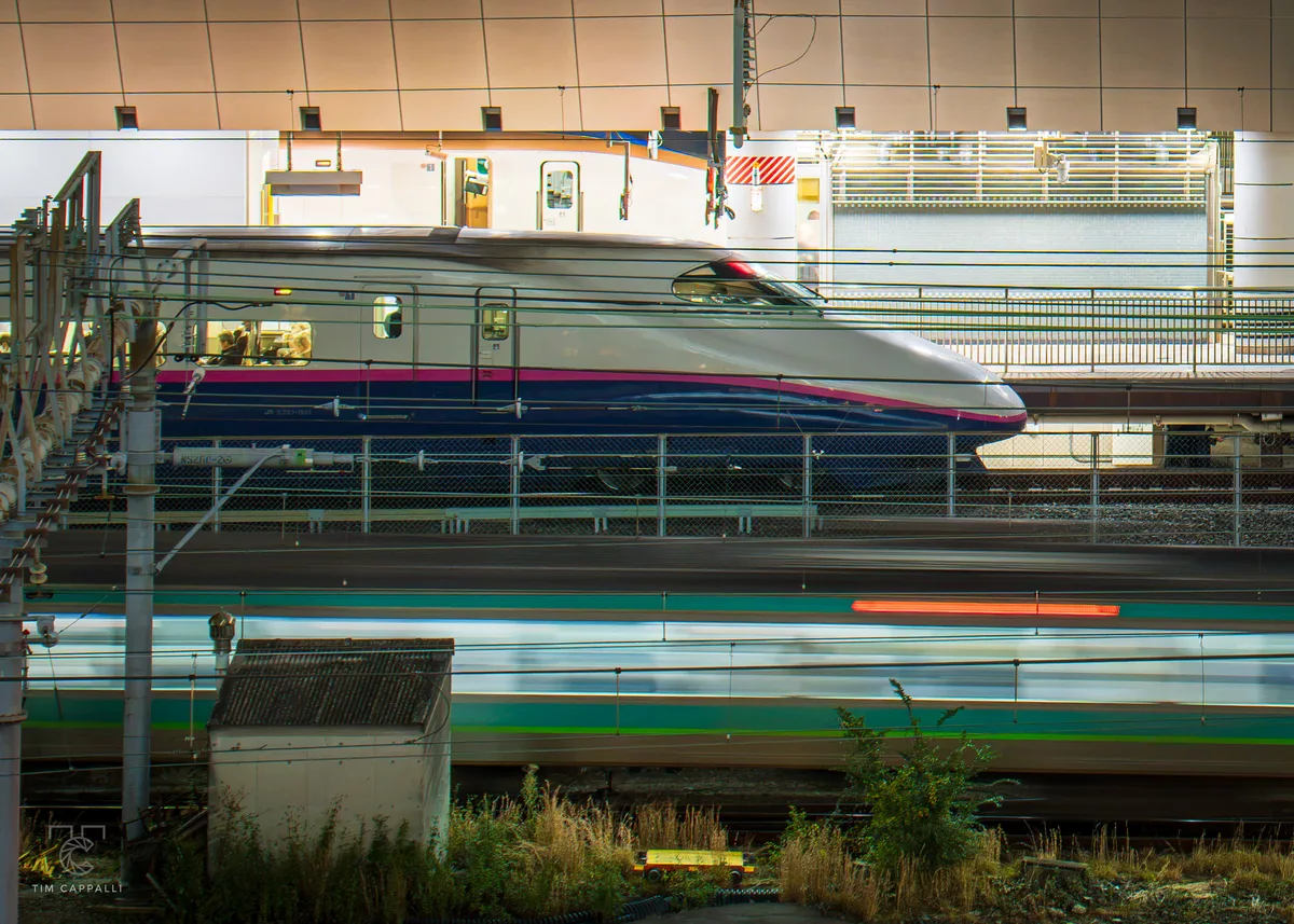 Tokyo Station 東京駅 🇯🇵