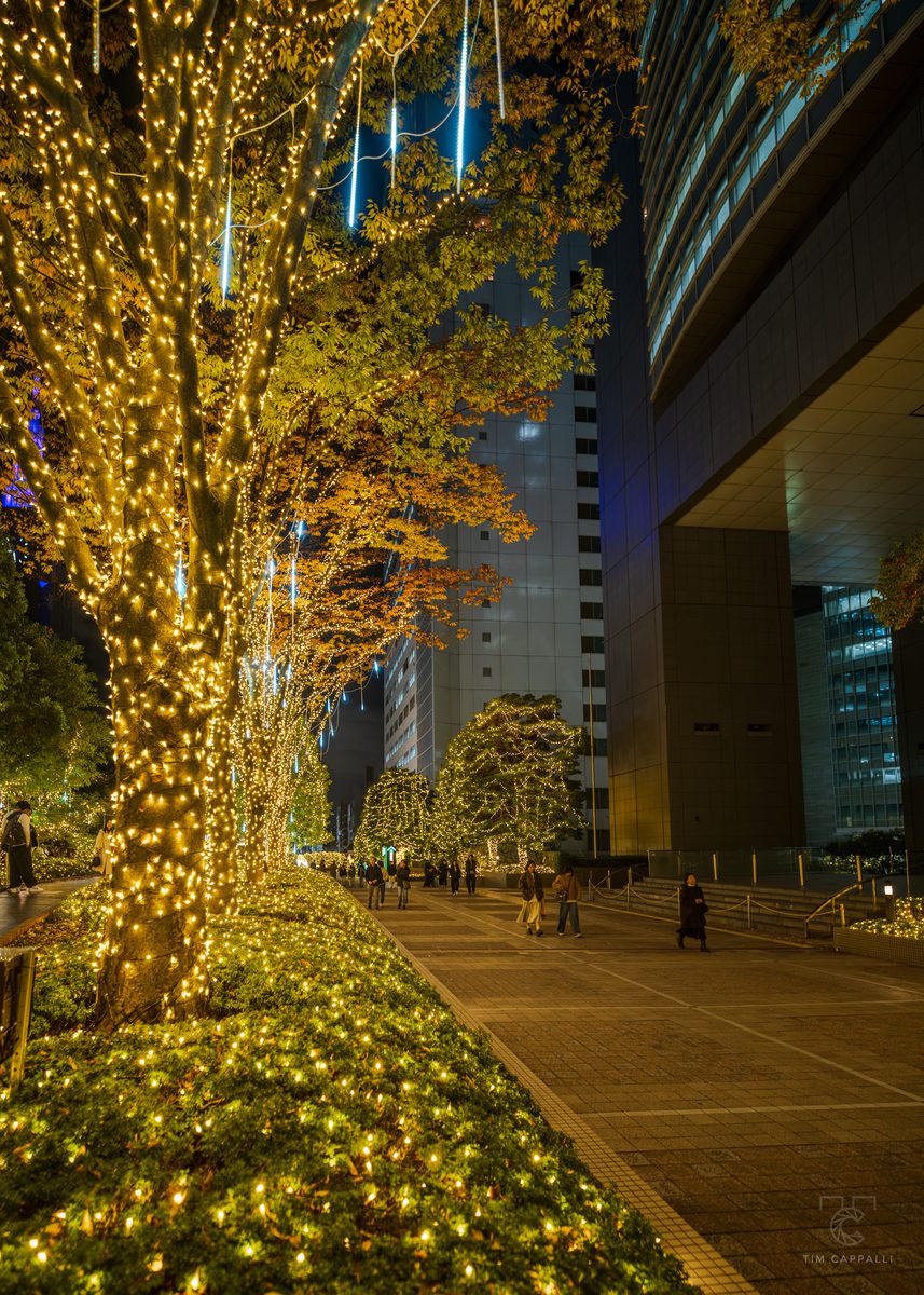 Shinagawa Central Garden 品川セントラルガーデン 🇯🇵