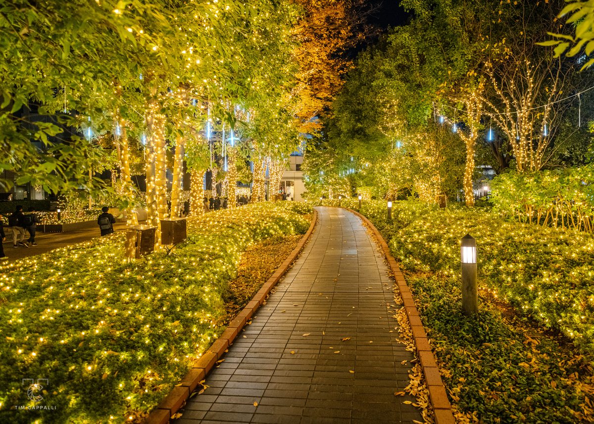 Shinagawa Central Garden 品川セントラルガーデン 🇯🇵